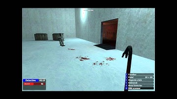 wD Gaming - TTT - Detective Metal Detector