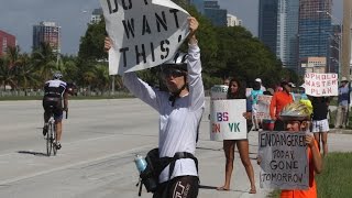People protest the proposed relocation of the Miami International Boat Show to Virginia Key