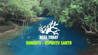 Reef Today - Espiritu Santos - Vanuatu