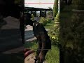 Ryan’s Special BLOCK ABILITY in Dead Island 2 [CRITICAL]