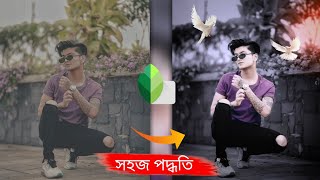 Snapseed Grey And Bird Effect Photo Editing | Snapseed Background Colour Change | Photo Editing