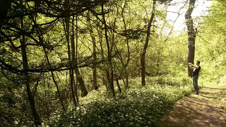 Castle Eden Dene Walk