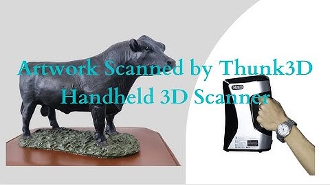 How to Use Thunk3D Handheld 3D Scanner to Scan Artwork?