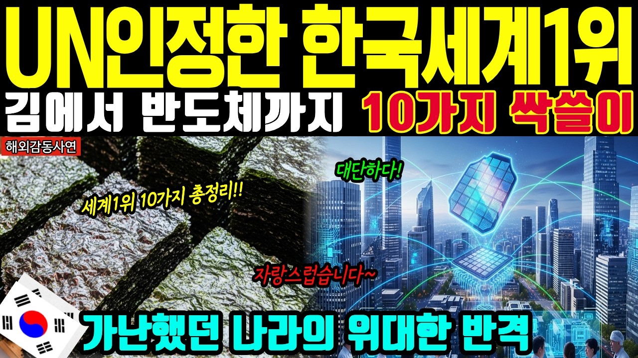 [해외감동사연] 세계가 인정한 대한민국 1위 10가지, 김에서 반도체까지 #UN