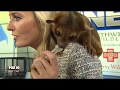 Critter corner kinkajou