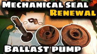 Mechanical Seal Renewal of a Ballast pump| Sealegend