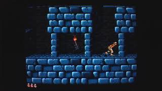 Prince of Persia - SNES - Level 1 - 159 - 1320 - 0:22 - Kill Button