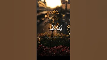 ﴿ من ذا الذي يقرض الله قرضاً حسناً.. ﴾ القارئ أحمد العجمي || حالات واتس آب اسلامية قرآن كريم #allah