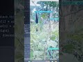 AI in Agriculture. This is a prototype project for real time detection using opencv and yolo.