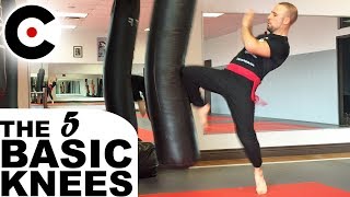 How to Strike with Knees - The 5 Basic Knee Strikes | Effective Martial Arts