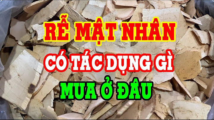 Cây mật nhân ngâm rượu như thế nào