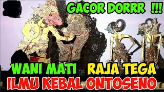 TERBAIK DUNIA PAGELARAN WAYANG KULIT KI SENO NUGROHO LAKON GACOR DORR!! #toiruncs