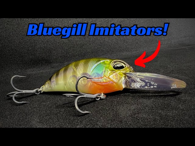 creek chub injured minnow in day-n-nite fishing lure Creek Chub INJURED MINNOW Chub 2 1/2" Wood Glass eye Lure FISHING