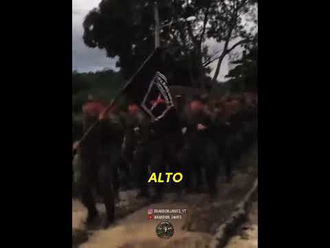 Recepção Calorosa no