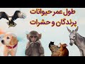 ویدیویی جالب از طول عمر حیوانات پرندگان و حشرات