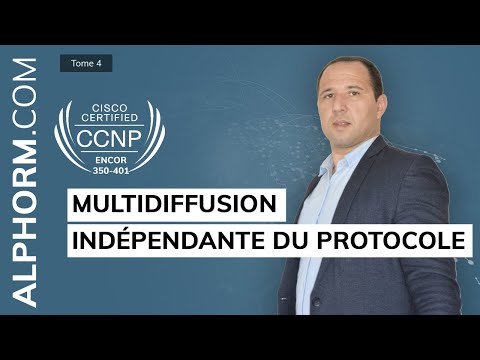 Vidéo: Quel protocole IPv4 gère la multidiffusion ?