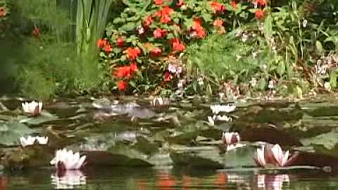Claude Monet - Giverny  - by Ann Perrin
