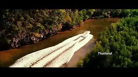 Famous Bollywood Star Shahrukh Khan fight in Don 2 | Badshah entry 😍😍💖|Attitude level SRK