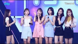 [예능연구소 직캠] 에이핑크 파이브 1위 앵콜 @쇼!음악중심_20170715 FIVE Apink