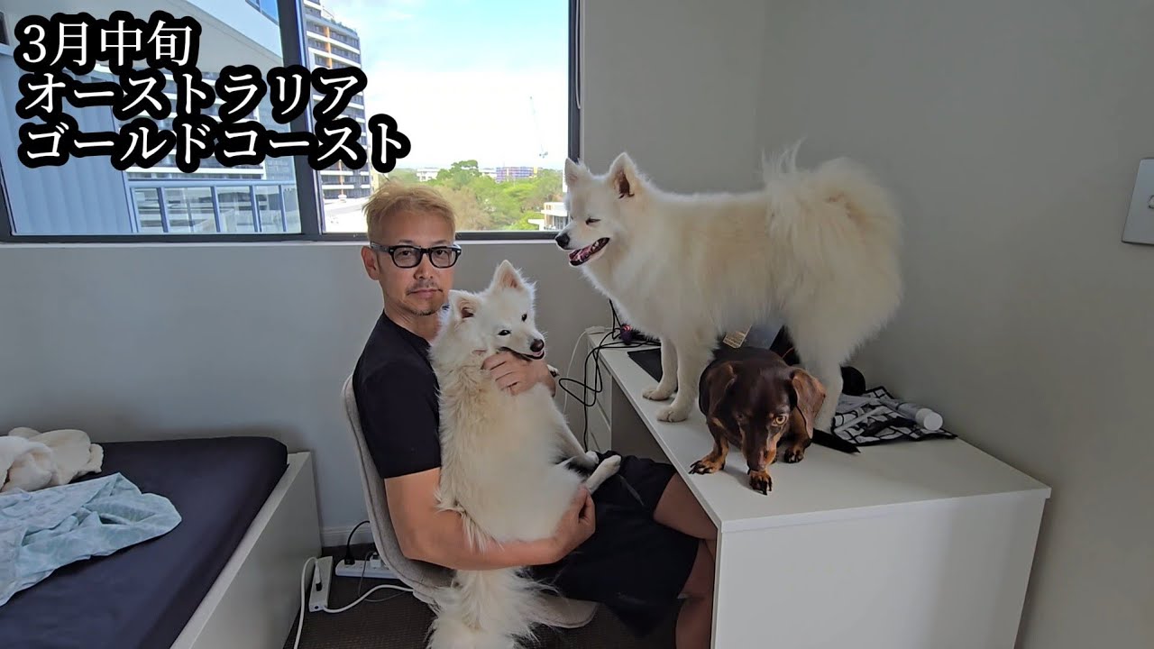 犬まみれ生活、北海道から南半球へ【第8話】