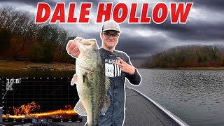 Chasing After GIANT Bass On Dale Hollow Lake!