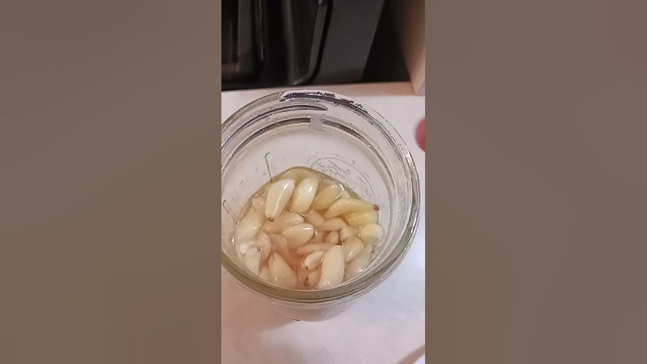 Storing fresh garlic cloves like a pro YouTube