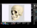 Sculpting Human Anatomy - Skull - Part1