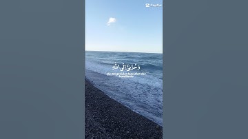 تلاوة صباحية عطرة.. #القرآن_الكريم #اكسبلور #تلاوة_خاشعة