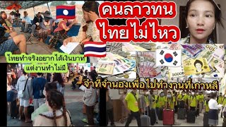 คนลาวทนไทยไม่ไหว!!#ไทยทำจริงอยากได้เงินบาทแต่งานทำไม่มี!!จำที่จำนองเพื่อไปทำงานที่เกาหลี#หนุ่มลาว