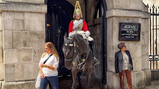 King’s Horse Butts a Tourist Who Grabs Reins Twice - Guard Yanks Off Reins by The King's Guards and Horse UK 2,206 views 4 days ago 50 minutes