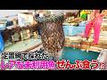 定置網で採れたレアな未利用魚ぜんぶ食う!?