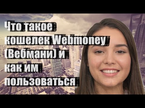 Что такое кошелек Webmoney (Вебмани) и как им пользоваться