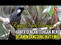 MASTERAN POKSAY FULL ISIAN | UNTUK PANCINGAN DAN ISIAN