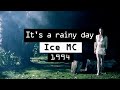 Ice MC - It's a Rainy Day (dance mashup)