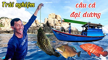 1 ngày trải nghiệm câu cá đại dương chế biến thưởng thức giữa biển |thuận sanh tv