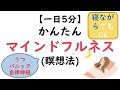 【パニック障害】マインドフルネスが自律神経の不調にも良い理由と簡単なやり方