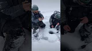 Smallmouth Bass through ice