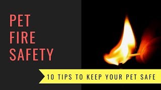 10 Pet Fire Safety Tips