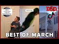 D&D Tik Tok March Compilation | Ft. One Shot Questers