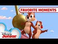 Nutty Tales Compilation! Part 4 | Chip 'N Dale's Nutty Tales | Disney Junior