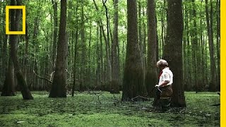 Portraits of Women Scientists | National Geographic