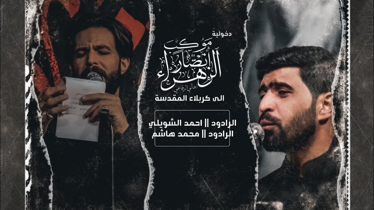 كربلاء | موكب أنصار الزهراء | احمد الشويلي | محمد هاشم