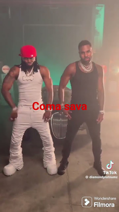 Diamond platnumz ft burnaboy Coma sava remix Afro-Amapiano tiktok challenge