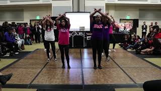 UCF Sigma Lambda Gamma | Spring 2019 Meet the Greeks