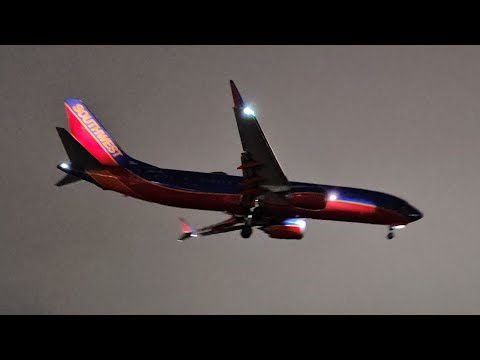 LIVE LAX Airport Close-Up Night #Planespotting Special #Liveries!