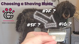 Choosing a Shaving Blade – Deciding what blade to use to start shaving a dog