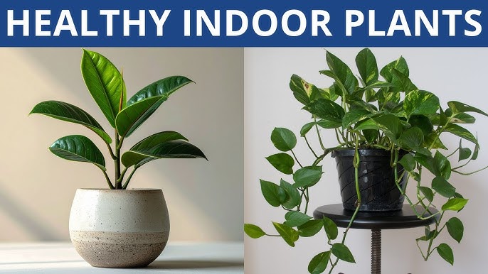 Ұсқынсыз әйелдермен орысша порно