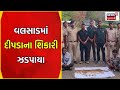 Valsad news       leopard poachers caught  hunting leopards  news18