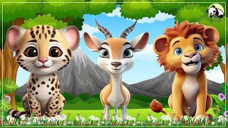 Cute Little Farm Animal Sounds - Ocelot, Impala, Lion, Blackbuck | Animal moments