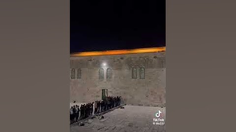 تلاوة من رحاب المسجد الاقصى، القارئ محمد مصطفى محاميد
